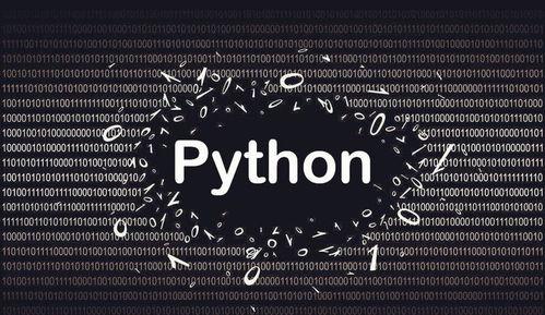 python入门视频