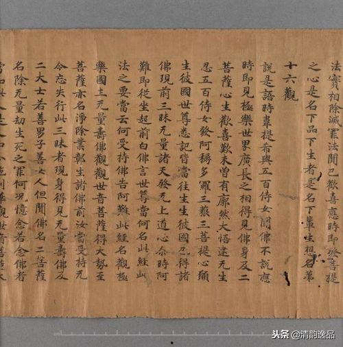 观无量寿经视频,净土宗经典智慧概览